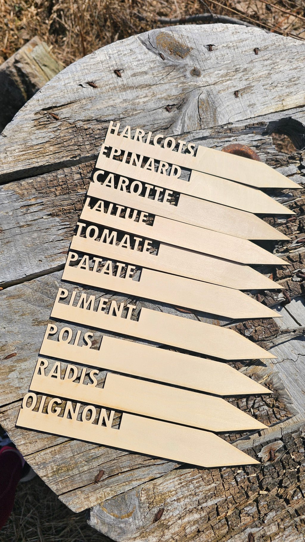 Identifications / piquets jardin en bois