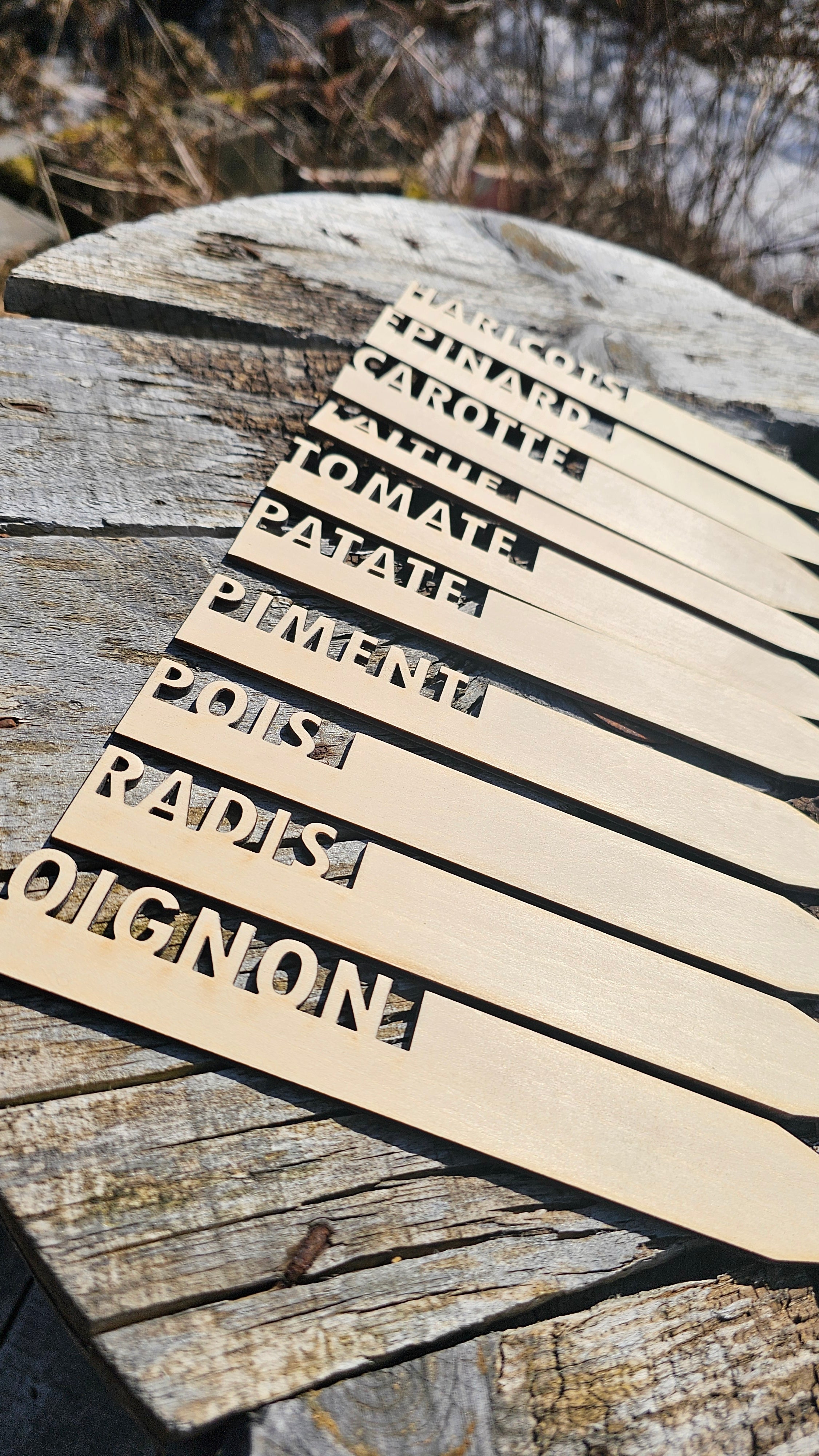 Identifications / piquets jardin en bois
